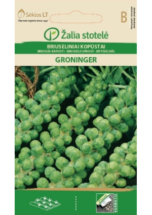 Kelbimbó Groninger Z.S SL