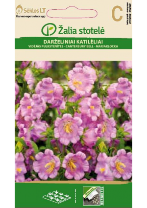 Csupros harangvirág rose Z.S SL