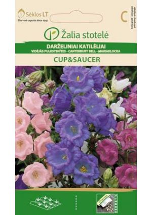 Csupros harangvirág Cup & Saucer Z.S SL