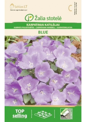 Kárpáti Harangvirág Blue Z.S SL