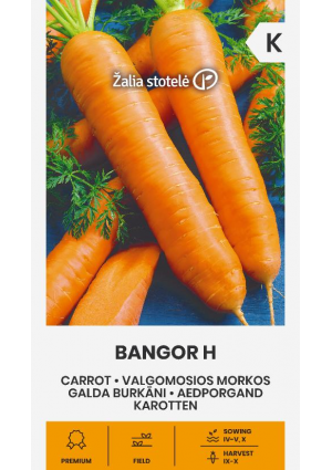 Sárgarépa Bangor Hibrid Z.S SL