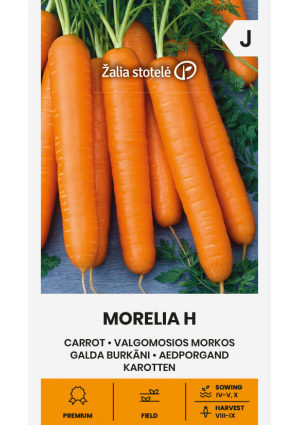 Sárgarépa Morelia Hibrid Z.S SL