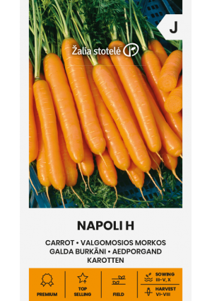 Sárgarépa Napoli Hibrid Z.S SL