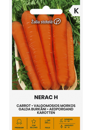 Sárgarépa Nerac Hibrid Z.S SL
