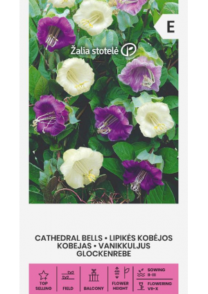 Serleglonc Cathedral Bells Z.S SL