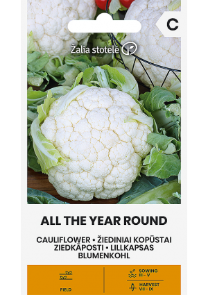 Karfiol All The Year Round Z.S SL