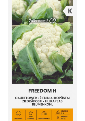 Karfiol Freedom Hibrid Z.S SL