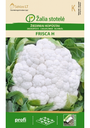 Karfiol Frisca Hibrid Z.S SL