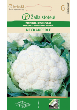 Karfiol Neckarperle Z.S SL