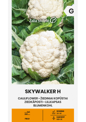 Karfiol Skywalker Hibrid Z.S SL