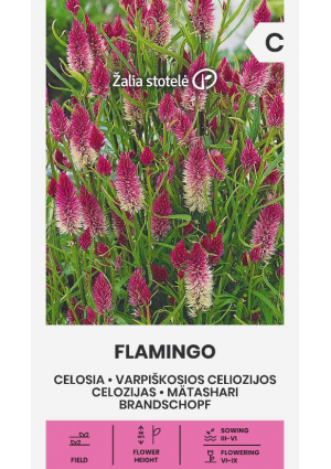 Celózia Flamingo Z.S SL