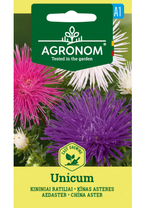 Őszirózsa Unicum  SL AGR