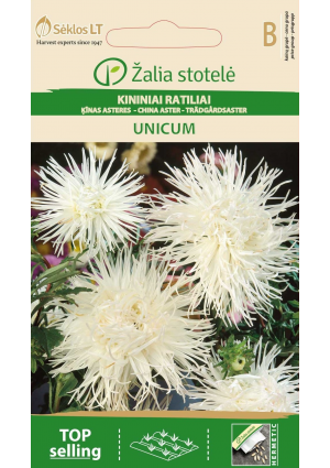 Őszirózsa Unicum Fehér Z.S SL