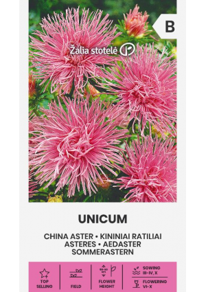 Őszirózsa Unicum Rose Z.S SL