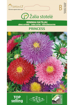 Őszirózsa Princess színkeverék Z.S SL