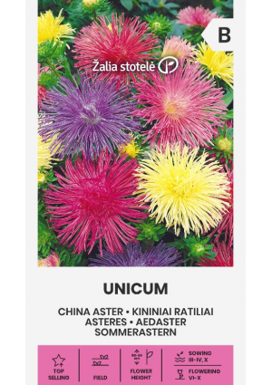 Őszirózsa Unicum  Mix Z.S SL