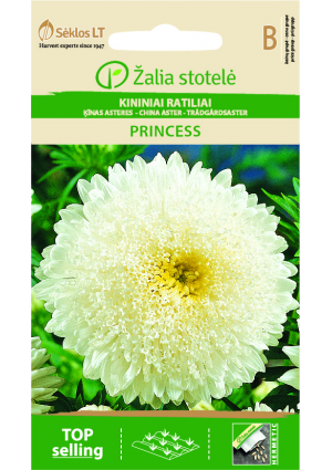 Őszirózsa Princess Fehér