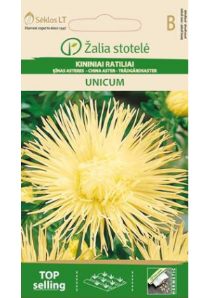 Őszirózsa Unicum Sárga Z.S SL