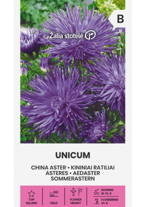 Őszirózsa Unicum Lila Z.S SL