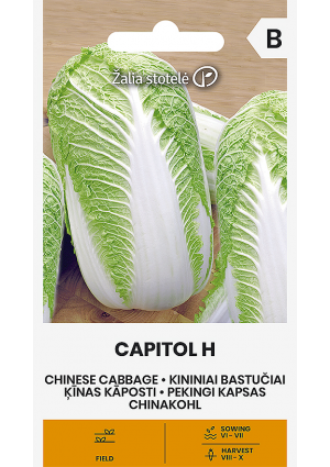 Kínai kel Capitol Hibrid  Z.S SL