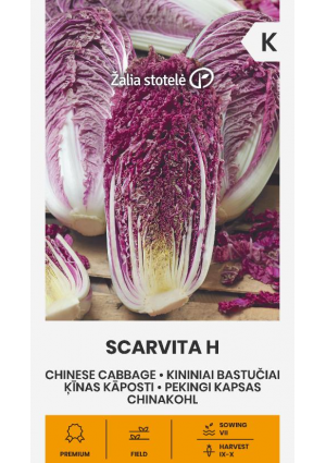 Kínai kel Scarvita Hibrid Z.S SL