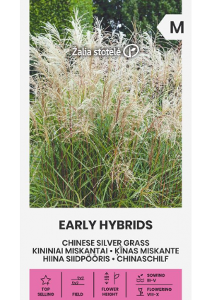 Japánfű Early Hybrids Z.S SL