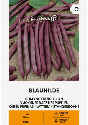 Bab Blauhilde (Zöldbab) Z.S SL