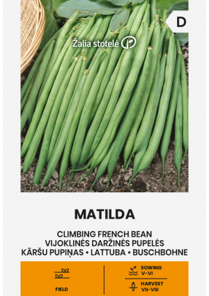 Bab Matilda (Zöldbab) Z.S SL