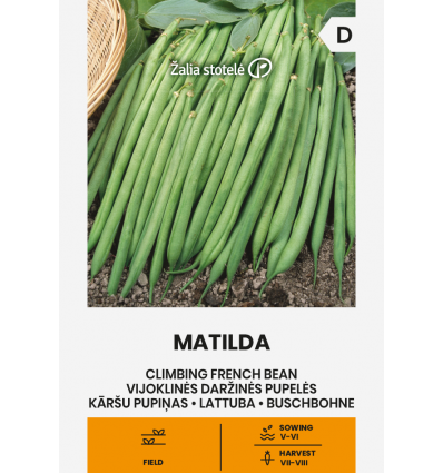 Bab Matilda (Zöldbab) Z.S SL
