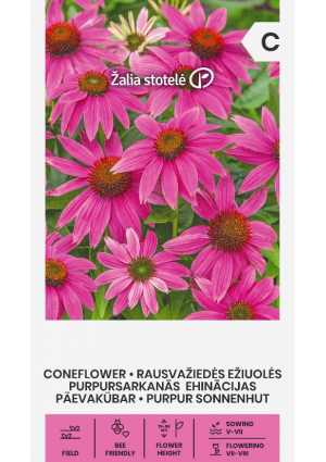 Kasvirág Coneflower Z.S SL
