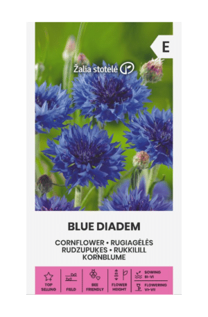 Búzavirág Blue Diadem Z.S SL