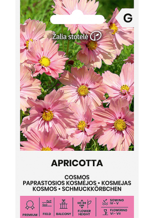 Pillangóvirág Apricotta Z.S SL