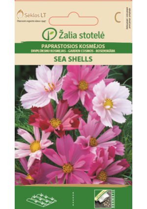 Pillangóvirág  Sea Shells Z.S SL