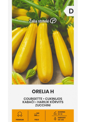 Cukkini Orelia Hibrid  Z.S SL
