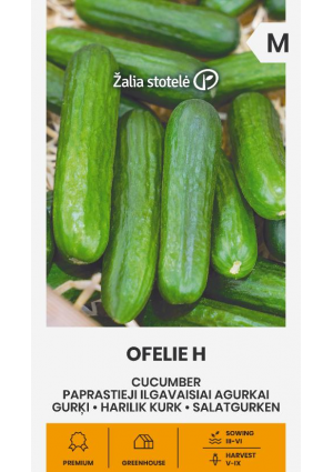 Uborka Ofelie Hibrid Z.S SL