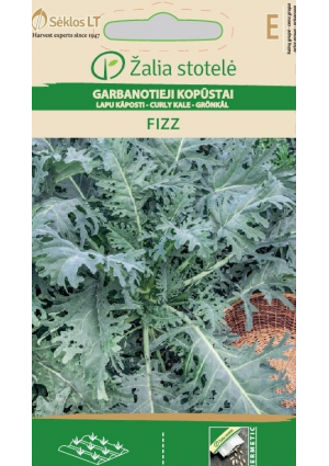 Fodros kel Fizz Z.S SL