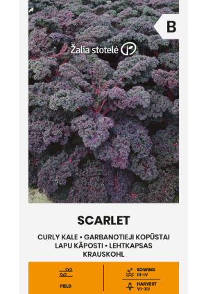 Fodros kel Scarlet Z.S SL