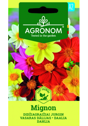 Dália Mignon SL AGR