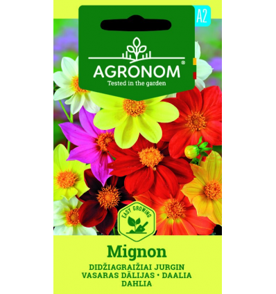 Dália Mignon SL AGR