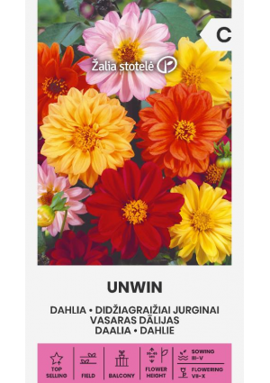 Dália Unwin Z.S SL