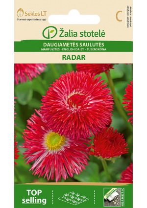 Százszorszép Radar Z.S SL