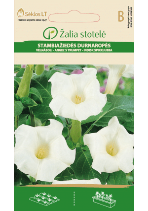 Mételmaszlag Datura Inoxia Z.S SL