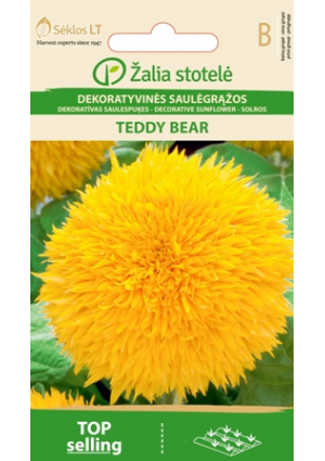 Dísznapraforgó Teddy Bear Z.S SL