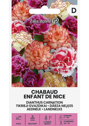 Kerti szegfű Chabaud Enfant De Nice Z.S SL
