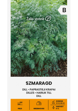 Kapor szmaragd Z.S SL