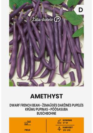 Bab Amethyst (Zöldbab) Z.S SL