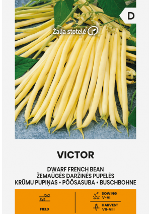 Bab Victor (Zöldbab) Z.S SL