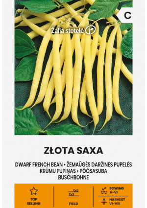 Bab ZŁOTA SAXA (Zöldbab) Z. S SL