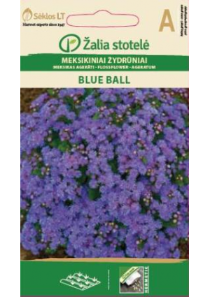 Bojtocska Blue Ball Z.S SL