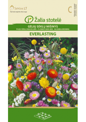 Szárítani való virágmix keverék Everlasting Z.S SL
